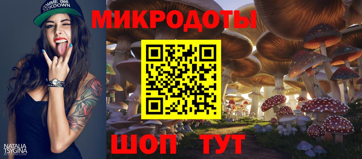 Галлюциногенные грибы прущие грибы Ноябрьск