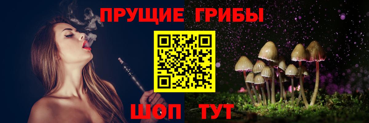 Ноябрьск  Галлюциногенные грибы ЛСД  Вход с VPN  Псилоцибиновые грибы Psilocybe 