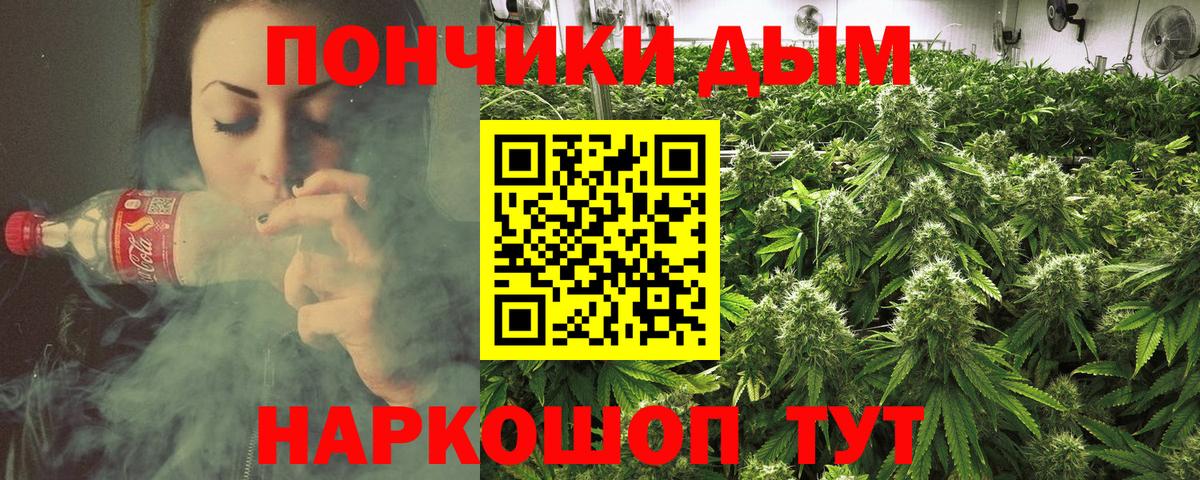 Бошки Шишки гибрид Ноябрьск